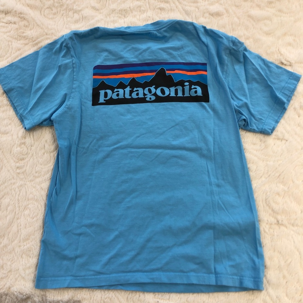 Blue Patagonia T-Shirt
